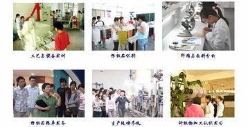 對外技術(shù)服務(wù)與培訓(xùn) 提升企業(yè)核心競爭力的雙輪驅(qū)動