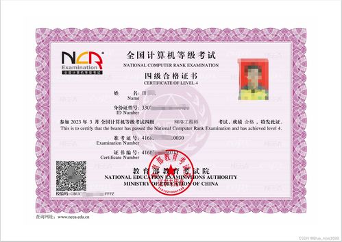 NICRE全國計算機等級考試四級網絡工程師認證 計算機網絡工程的核心要義